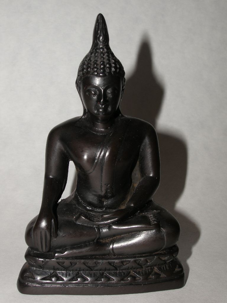 Budha živica 10-12 cm